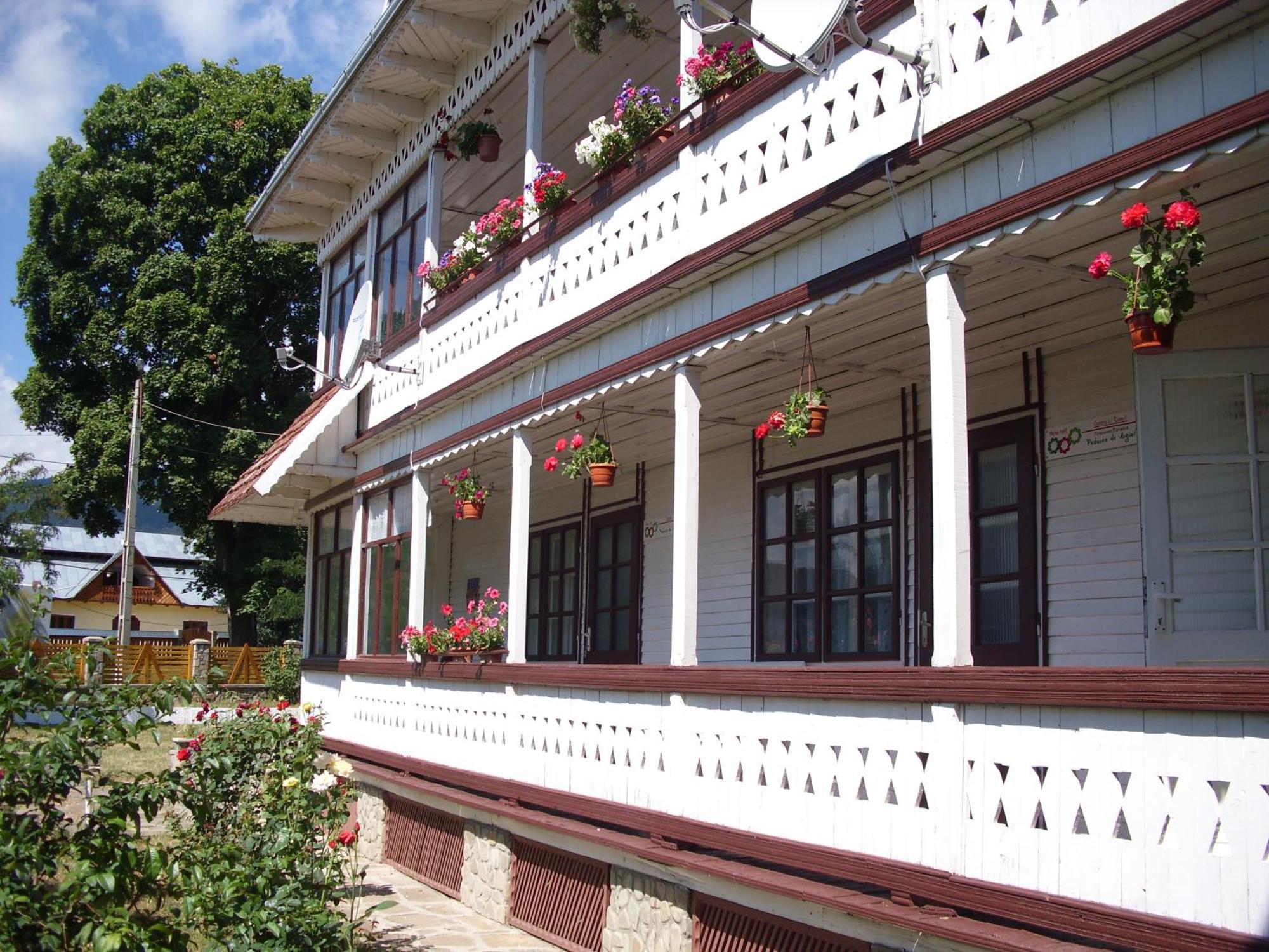 Padurea De Argint Vila Văratec Exterior foto
